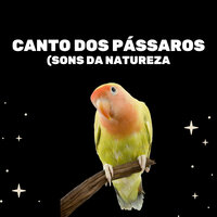 Pássaro - Medicina Relaxante & Sons do Ambiente & Sons da Natureza