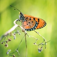 Faith - Chillout Lounge Piano & Instrumental Piano Universe & Relaxing Piano Jazz Music Ensemble