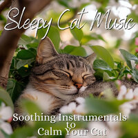 Loving Light - RelaxMyCat & Cat Music Dreams & Cat Music Zone