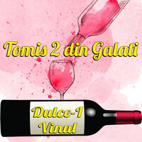 Mama Ta Tea Gasit - Tomis 2 din Galati