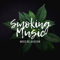 Please Stop Your Lying - Reggae & Weed