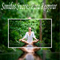 Paz Absoluta - Sonidos suaves