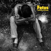 Bomba atònita - Fetus