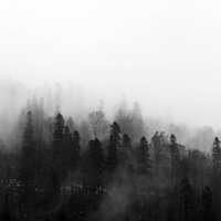 Deeply Hold Breath - Study Music & Sounds & Buddhist Meditation Music Set & Exam Study Classical Music Orchestra