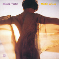 Inside A Silent Tear - Nnenna Freelon