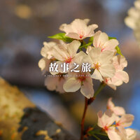 自我驱动 - 睡眠疗愈乐