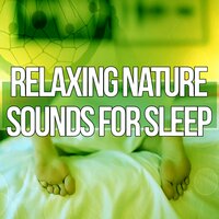 Meditation - Deep Sleep Music Ensemble