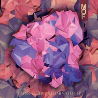 Modern Dynamics - Paper Tiger