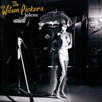 Old Salty Dog Blues - The Wilson Pickers
