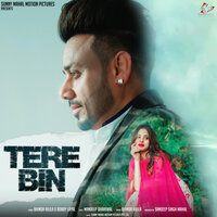 Tere Bin - Bhinda Aujla & Bobby Layal