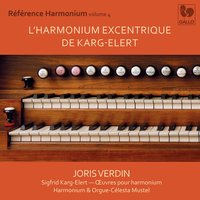 Intarsien, Op. 76 (15 kleine Characterstücke): Östlicher Anklang - Joris Verdin