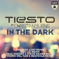 In the Dark - Tiësto & Christian Burns & Beatsole & Pedro Del Mar