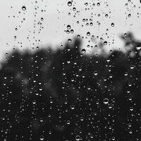 Deep Sleep Rain Sounds - Sounds of Nature Noise & The Outdoor Library & Rain Sounds & Nature Sounds