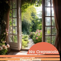 Misty Mornings Unfolding - Nu Crepuscolo