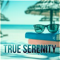 Wellness - Serenity Music Academy