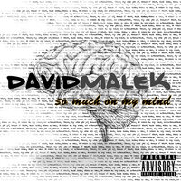 Torch - David Malek