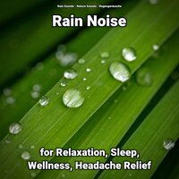 Rain Noise for Relaxation Pt. 64 - Nature Sounds & Rain Sounds & Regengeräusche