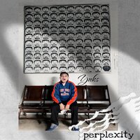 Perplexity - YNKS