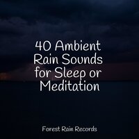 Constant Rains - Sound Healing Center & Sounds of Rain & Thunder Storms & Namaste Yoga