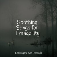 Music for Relaxation - Ambientalism & Dr. Meditation & Sounds of Rain & Thunder Storms