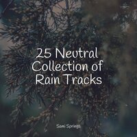 Sound of Storms - Zen Music Garden & Schlaflieder Für Kinder & Relaxamento