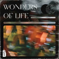 Wonders of life - Nesh Music
