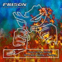 We've Been Waiting - Anton Liss & Kinspin