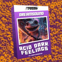 Acid Dark Felings - DreamSound