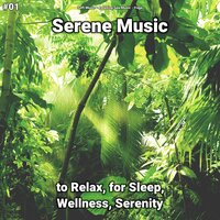 Serene Music, Pt. 68 - Soft Music & Relaxing Spa Music & Yoga