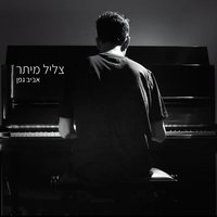 צליל מיתר - Aviv Geffen