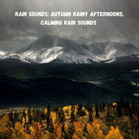 Rain for Bedtime - Rain Sounds For Sleep & Weather and Nature Recordings & Spa Music Relaxation