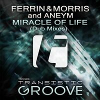 Miracle Of Life - Ferrin & Morris & Aneym