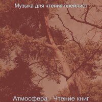 Созерцая (Чтение книг) - Музыка для чтения плейлист