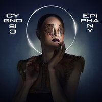 Straight from the Heart - Cygnosic