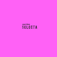 Selecta - Josh Wink