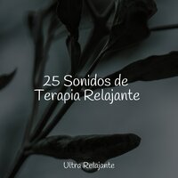Bienvenida A La Primavera - Musica Para Meditar y Relajarse & Dormir Sol & Meditacion Budista Maestros