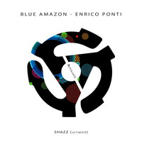 Fluxx - Blue Amazon & Enrico Ponti & Discutt