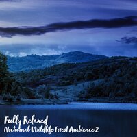 Nocturnal Wildlife Forest Ambience, Pt. 14 - Steve Brassel