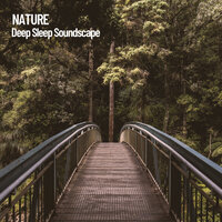 Crickets Chirping in the Forest - Nature Sounds XLE Library & Nature Sounds Nature Music & Sounds of Nature Noise