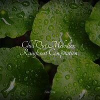 Small Crackling Fire - Deep Horizon Waves & Pacific Rim Nature Sounds & Mother Nature FX
