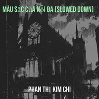 Hành Trình Trưởng Thành (Slowed Down) - Phan Thị Kim Chi
