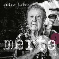 Mám to na triku - Vladimir Merta