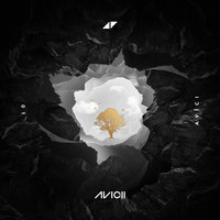 So Much Better - Avicii & Sandro Cavazza
