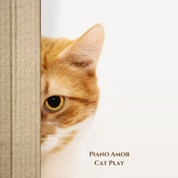 Cat Play - Piano Amor