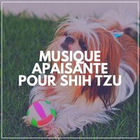 Un chien calme, Pt. 4 - Musique Calmante Pour Chiens