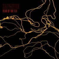New Milk - Salvation