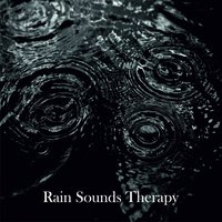 Rain Sounds Therapy - Rain Masters From TraxLab