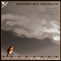 Volo Notturno - Andrea Ferrario