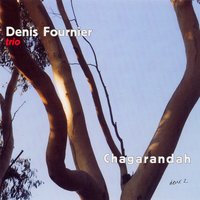 Fort de l'eau - Denis Fournier