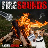 Cabin In The Woods Intense Fireplace - Nature Sounds TV